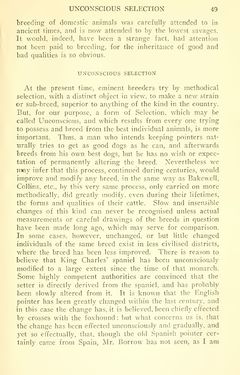 Image of the Page - 49 - in The Origin of Species