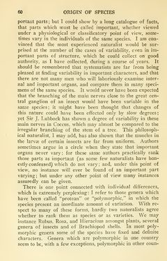 Bild der Seite - 60 - in The Origin of Species