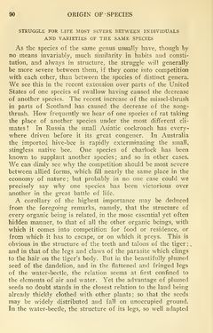 Image of the Page - 90 - in The Origin of Species