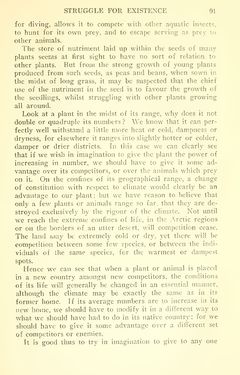 Bild der Seite - 91 - in The Origin of Species