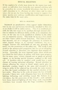 Image of the Page - 101 - in The Origin of Species
