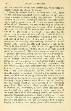 Image of the Page - 104 - in The Origin of Species