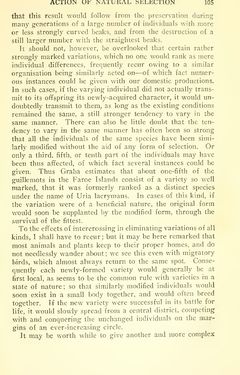 Image of the Page - 105 - in The Origin of Species