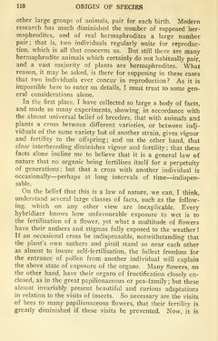 Image of the Page - 110 - in The Origin of Species