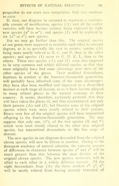 Image of the Page - 131 - in The Origin of Species