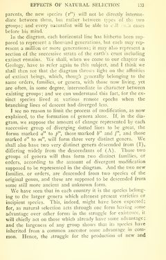 Image of the Page - 133 - in The Origin of Species