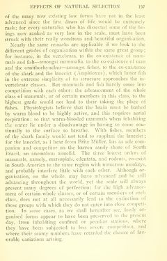 Bild der Seite - 137 - in The Origin of Species