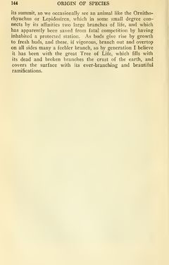 Image of the Page - 144 - in The Origin of Species