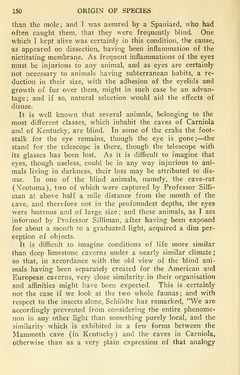 Bild der Seite - 150 - in The Origin of Species