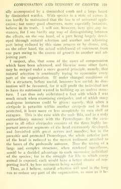 Bild der Seite - 159 - in The Origin of Species