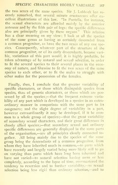 Image of the Page - 167 - in The Origin of Species