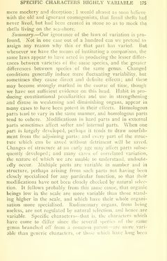 Bild der Seite - 175 - in The Origin of Species