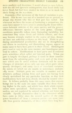 Bild der Seite - 175 - in The Origin of Species