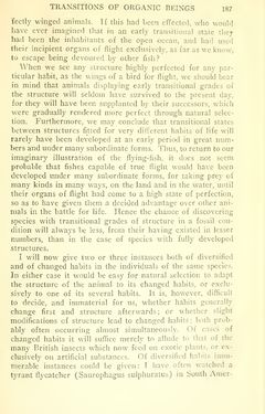 Image of the Page - 187 - in The Origin of Species