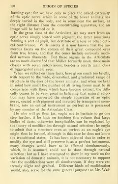 Image of the Page - 192 - in The Origin of Species