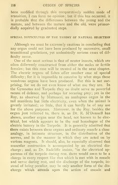 Image of the Page - 198 - in The Origin of Species