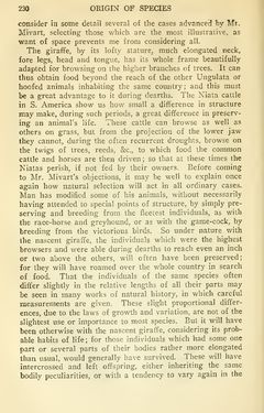 Image of the Page - 230 - in The Origin of Species