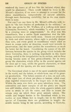 Image of the Page - 236 - in The Origin of Species