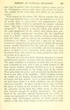 Image of the Page - 237 - in The Origin of Species