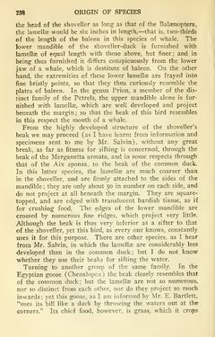 Image of the Page - 238 - in The Origin of Species
