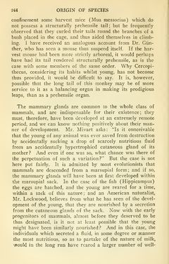 Image of the Page - 244 - in The Origin of Species