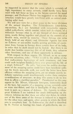 Image of the Page - 246 - in The Origin of Species