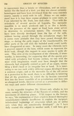 Bild der Seite - 250 - in The Origin of Species