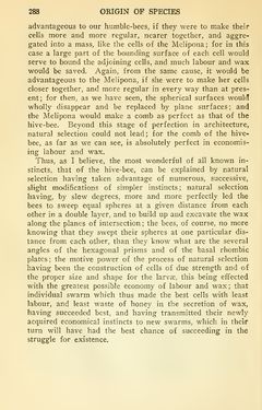 Bild der Seite - 288 - in The Origin of Species
