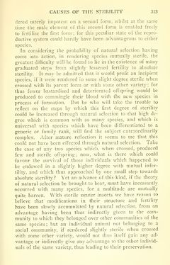 Image of the Page - 313 - in The Origin of Species