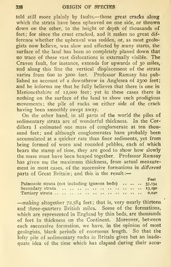 Bild der Seite - 338 - in The Origin of Species