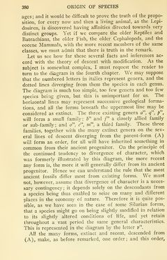 Image of the Page - 380 - in The Origin of Species