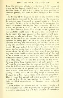 Image of the Page - 381 - in The Origin of Species