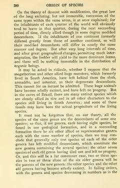 Bild der Seite - 390 - in The Origin of Species