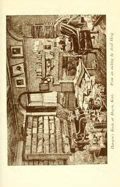 Image of the Page - (000425) - in The Origin of Species