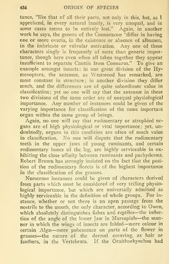 Bild der Seite - 454 - in The Origin of Species