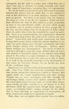 Image of the Page - 482 - in The Origin of Species