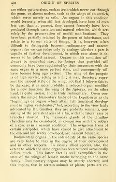 Image of the Page - 492 - in The Origin of Species