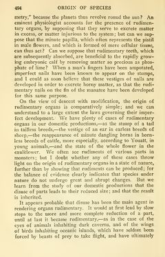 Image of the Page - 494 - in The Origin of Species