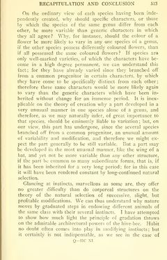 Bild der Seite - 513 - in The Origin of Species