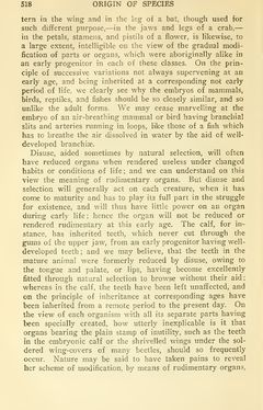 Bild der Seite - 518 - in The Origin of Species