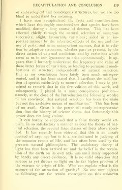 Bild der Seite - 519 - in The Origin of Species