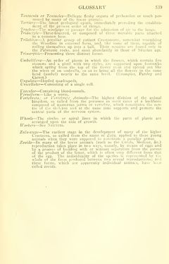 Bild der Seite - 539 - in The Origin of Species