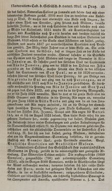 Bild der Seite - 25 - in Österreichische National-Enzyklopädie - Buchstabe N-Sed, Band 4