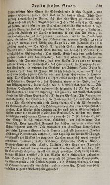 Bild der Seite - 313 - in Österreichische National-Enzyklopädie - Buchstabe See-V, Band 5