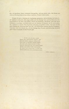 Image of the Page - 6 - in Österreichs allgemeine Baumzucht - Abbildungen in- und ausländischer Bäume und Sträucher, deren Anpflanzung in Österreich möglich und nützlich ist