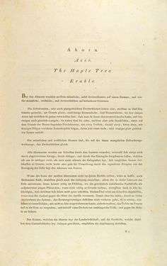 Image of the Page - 7 - in Österreichs allgemeine Baumzucht - Abbildungen in- und ausländischer Bäume und Sträucher, deren Anpflanzung in Österreich möglich und nützlich ist