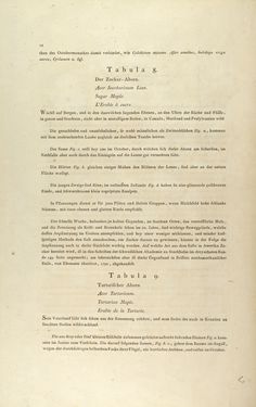 Image of the Page - 12 - in Österreichs allgemeine Baumzucht - Abbildungen in- und ausländischer Bäume und Sträucher, deren Anpflanzung in Österreich möglich und nützlich ist