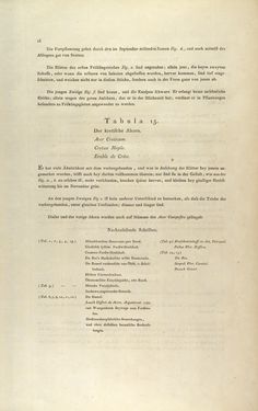 Image of the Page - 16 - in Österreichs allgemeine Baumzucht - Abbildungen in- und ausländischer Bäume und Sträucher, deren Anpflanzung in Österreich möglich und nützlich ist