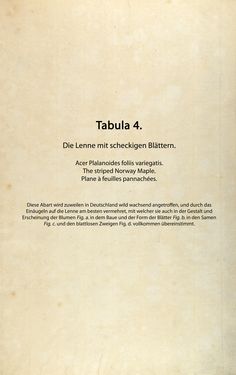 Bild der Seite - (00000040) - in Österreichs allgemeine Baumzucht - Abbildungen in- und ausländischer Bäume und Sträucher, deren Anpflanzung in Österreich möglich und nützlich ist