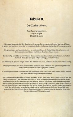 Image of the Page - (00000048) - in Österreichs allgemeine Baumzucht - Abbildungen in- und ausländischer Bäume und Sträucher, deren Anpflanzung in Österreich möglich und nützlich ist